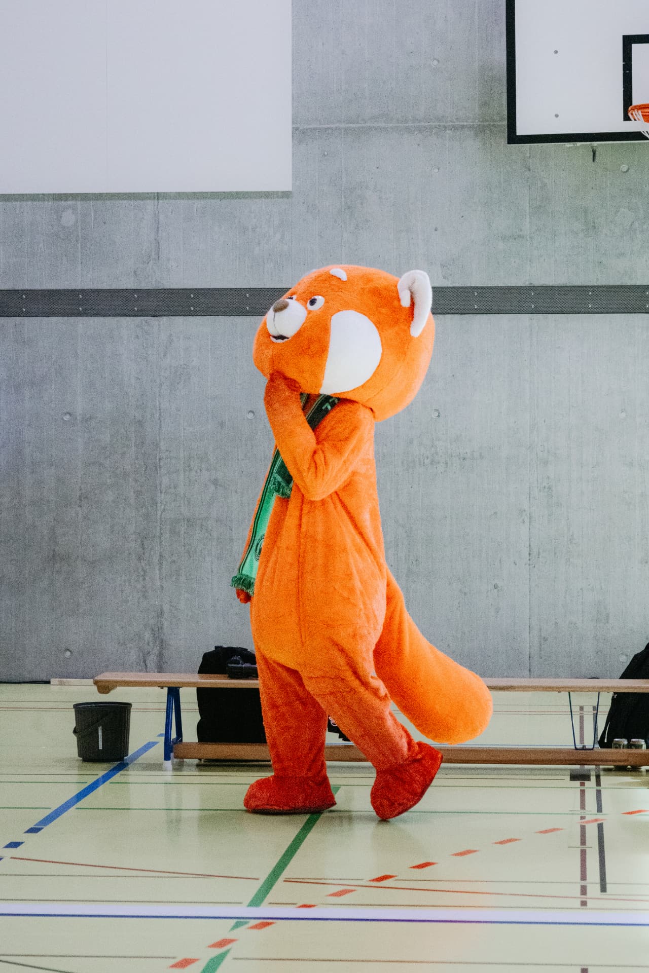 Maskottchen am 50-Jahr-Jubiläum des STV St.Gallen Volleyball